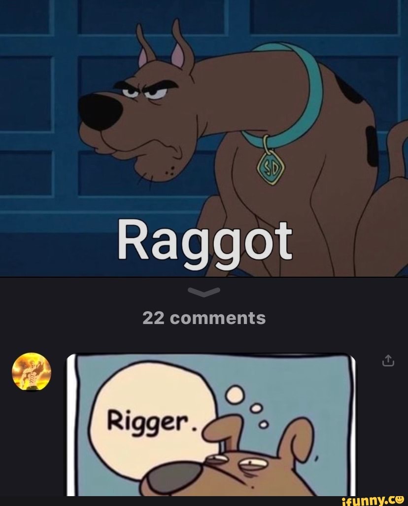 Raggot 22 Comments Rigger