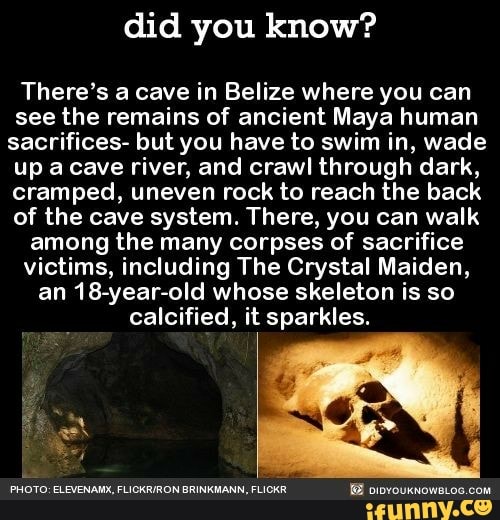 Did You Know There S A Cave In Belize Where You Can See The