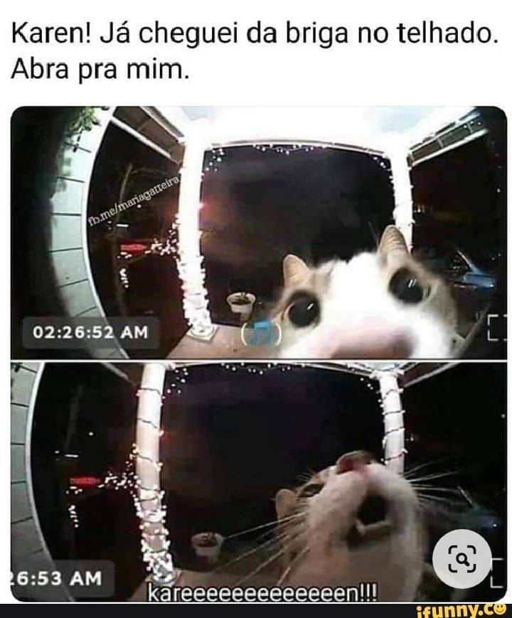 Karen! Já cheguei da briga no telhado.
Abra pra mim.
AM kareeeeeeeeeeeeenli!