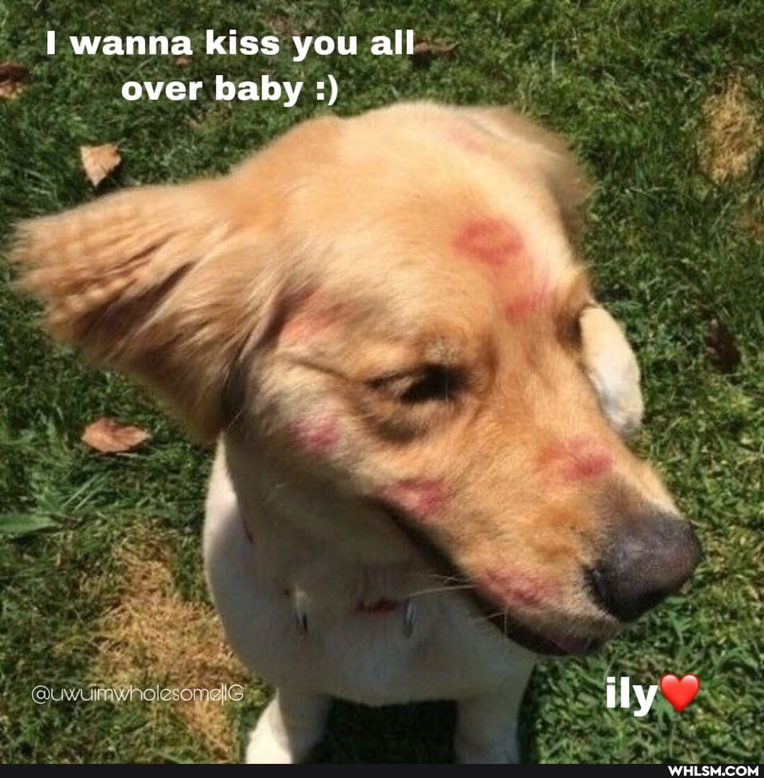 wanna kiss you all over baby
AA