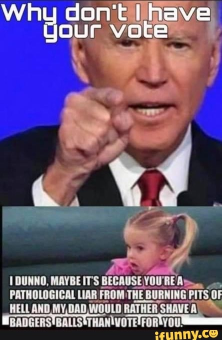 Don Your Vote Dunno Maybe It S Because You Re A Pathological Liar Ifrom The Burning Pits Of Hell And My Dad Would Rather Badgers Don Your Vote Dunno Maybe It S Because You Re A Pathological Liar Ifrom The Burning Pits Of Hell And My Dad Would Rather Badgers