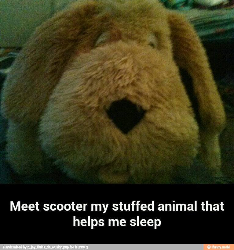 Meet scooter my stuffed animal that
helps me sleep - Meet scooter my stuffed animal that helps me sleep