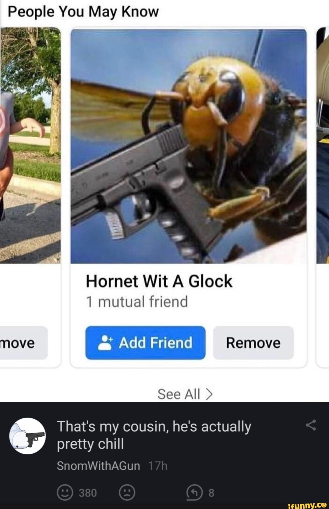 Show me a picture of a hornet
