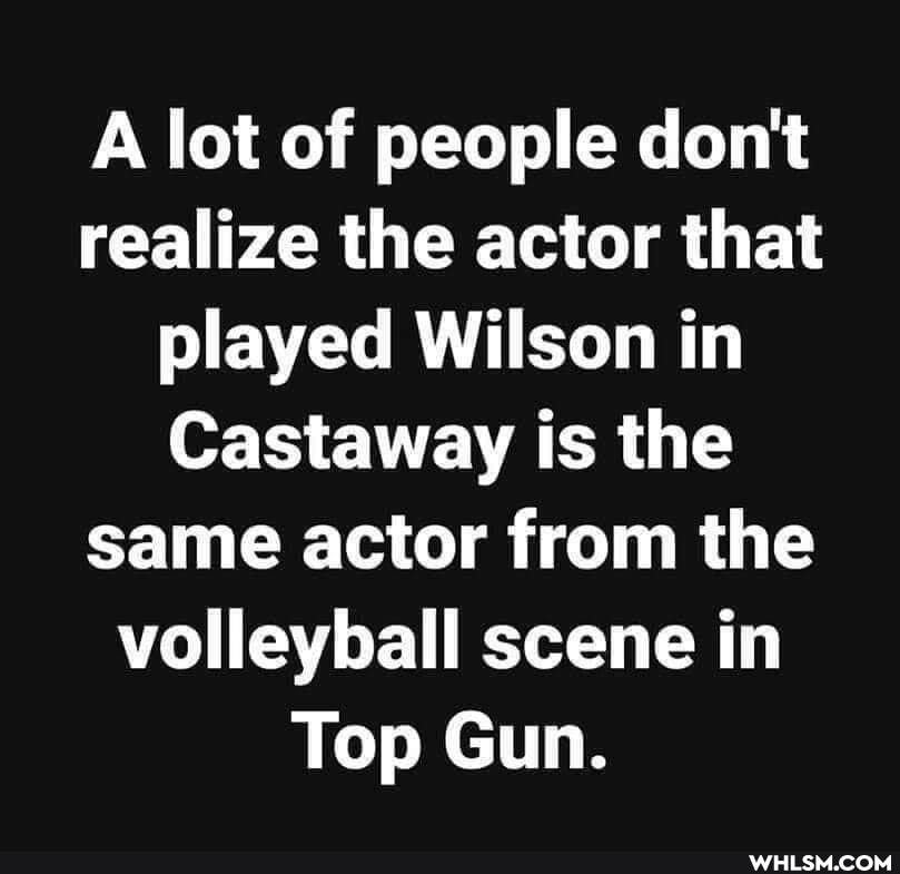 A lot of people don't realize the actor that played Wilson in
Castaway is the same actor from the volleyball scene in
Top Gun.