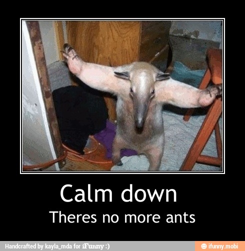 Calm down
Theres no more ants - Calm down
Theres no more ants