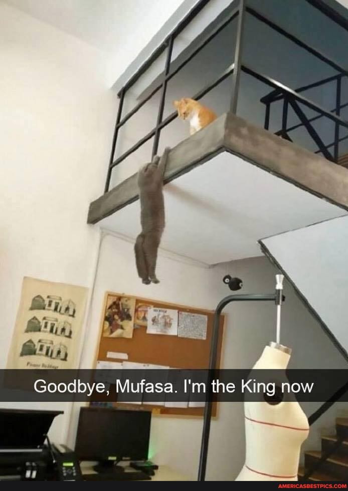 Goodbye, Mufasa. I'm the King now