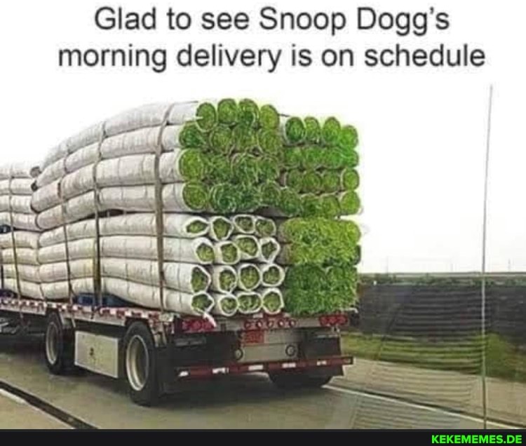 Glad to see Snoop Dogg's morning delivery is on schedule
