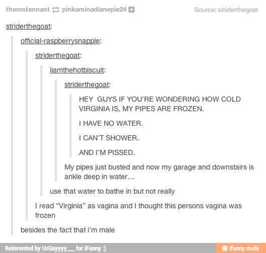 striderthegoat:
official-raspberrysnapple:
striderthegoat:
striderthegoat:
HEY GUYS IF YOU'RE WONDERING HOW COLD
VIRGINIA IS, MY PIPES ARE FROZEN.
I HAVE NO WATER.
I CAN'T SHOWER.
AND I'M PISSED.
My pipes just busted and now my garage and downstairs is
ankle deep in water...
use that water to bathe in but not really
I read "Virginia" as vagina and I thought this persons vagina was
frozen
besides the fact that i'm male