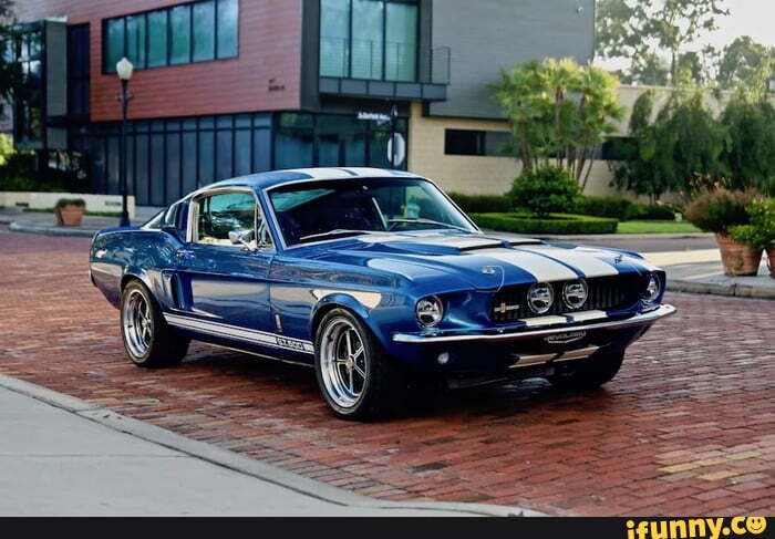 Ford_shelby_gt500 memes. Best Collection of funny Ford_shelby_gt500 ...