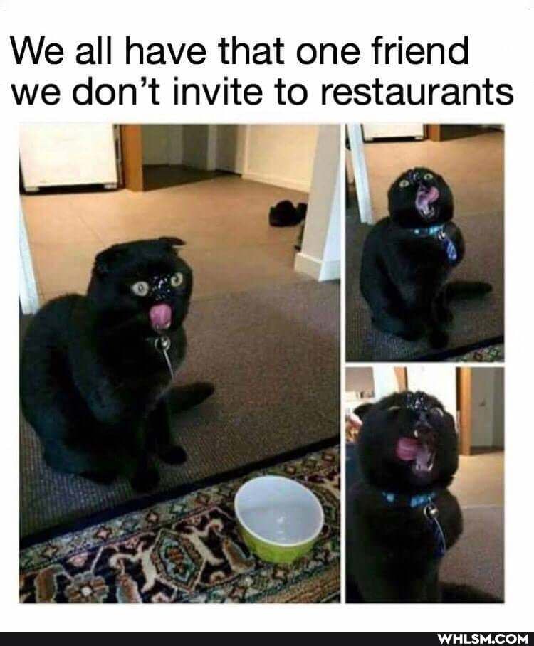 We all have that one friend we don't invite to restaurants