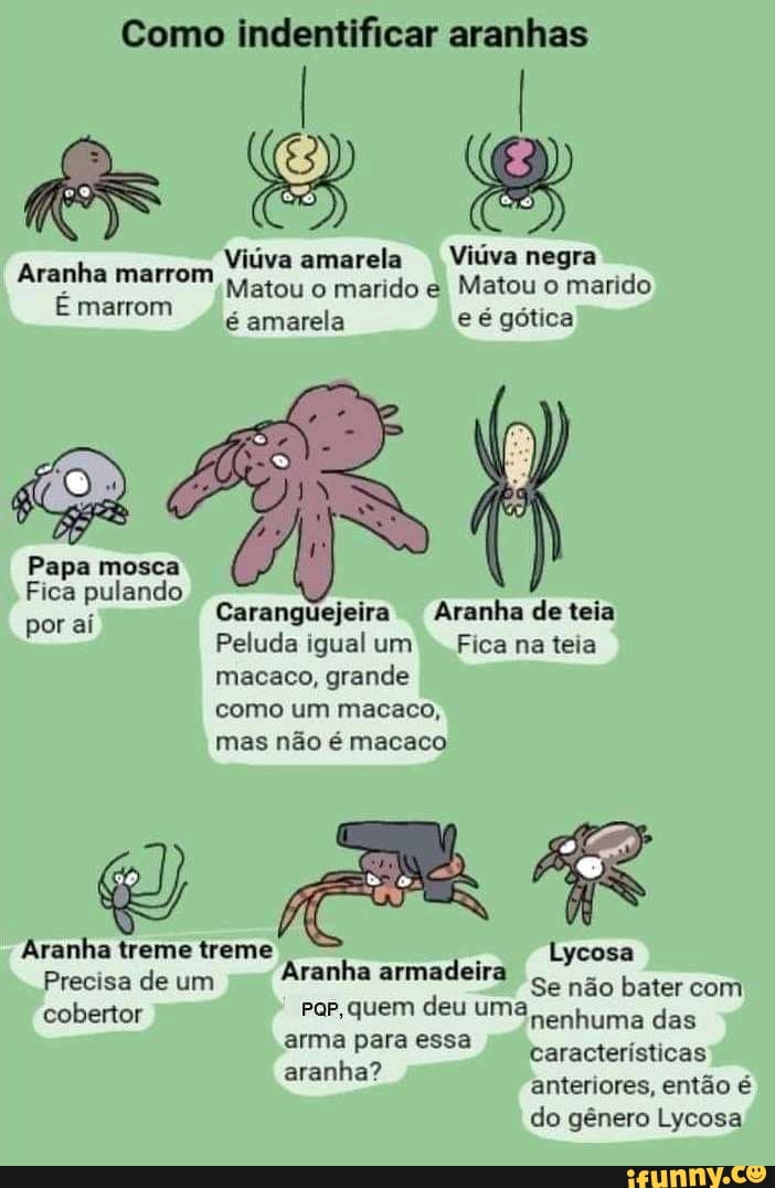 Como Indentificar Aranhas Vi Va Amarela Vi Va Negra Matou O Marido E