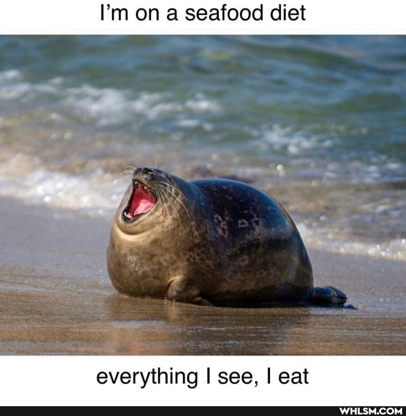 I'm on a seafood diet
ta ~
everything see, I eat