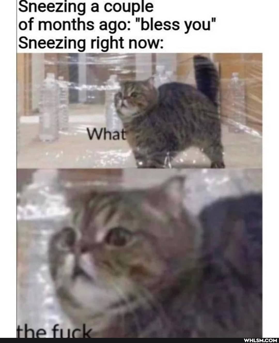 sneezing a coupie of months ago: "bless you"
Sneezing right now:
What