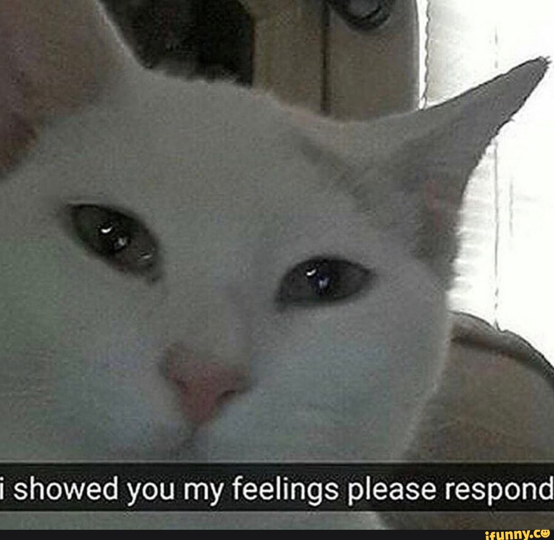 I sent you a pic of my dick please respond