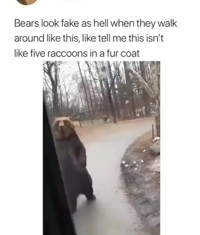 Everything fine but. I walk around like. I walk around like. I see dumb people. Sliding off.