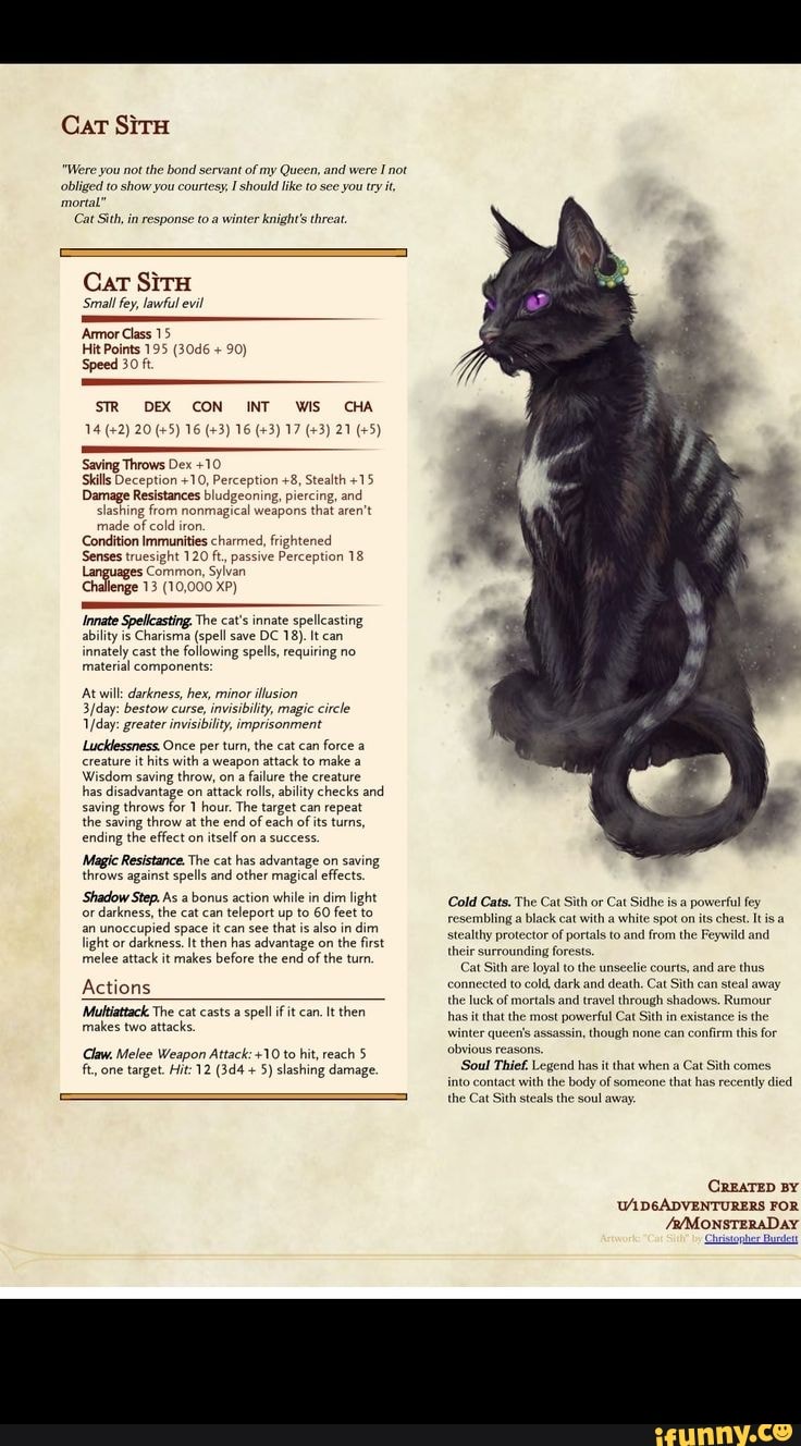 Cat SirH "Were you not the bond servant of my Queen, and were I not