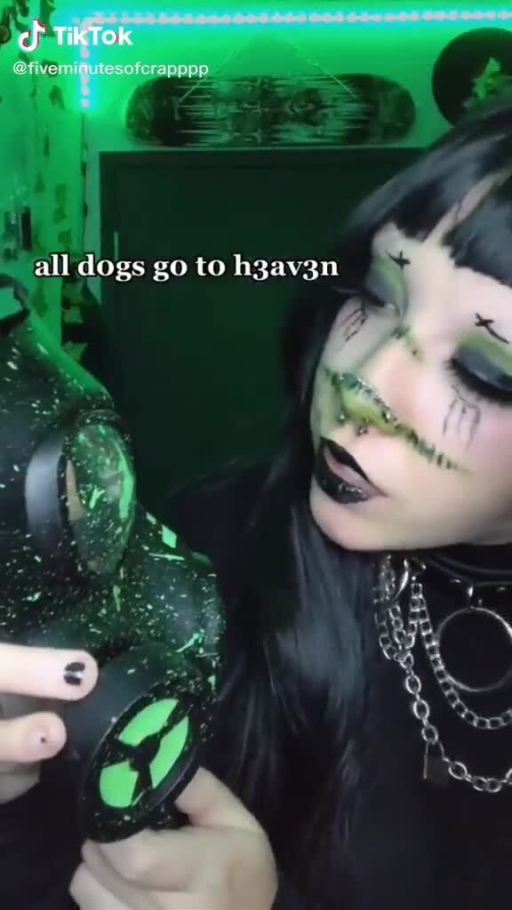 ef TKT
all dogs go to haay3n