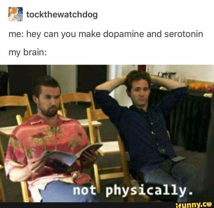 Tockthewatchdog Me Hey Can You Make Dopamine And Serotonin My