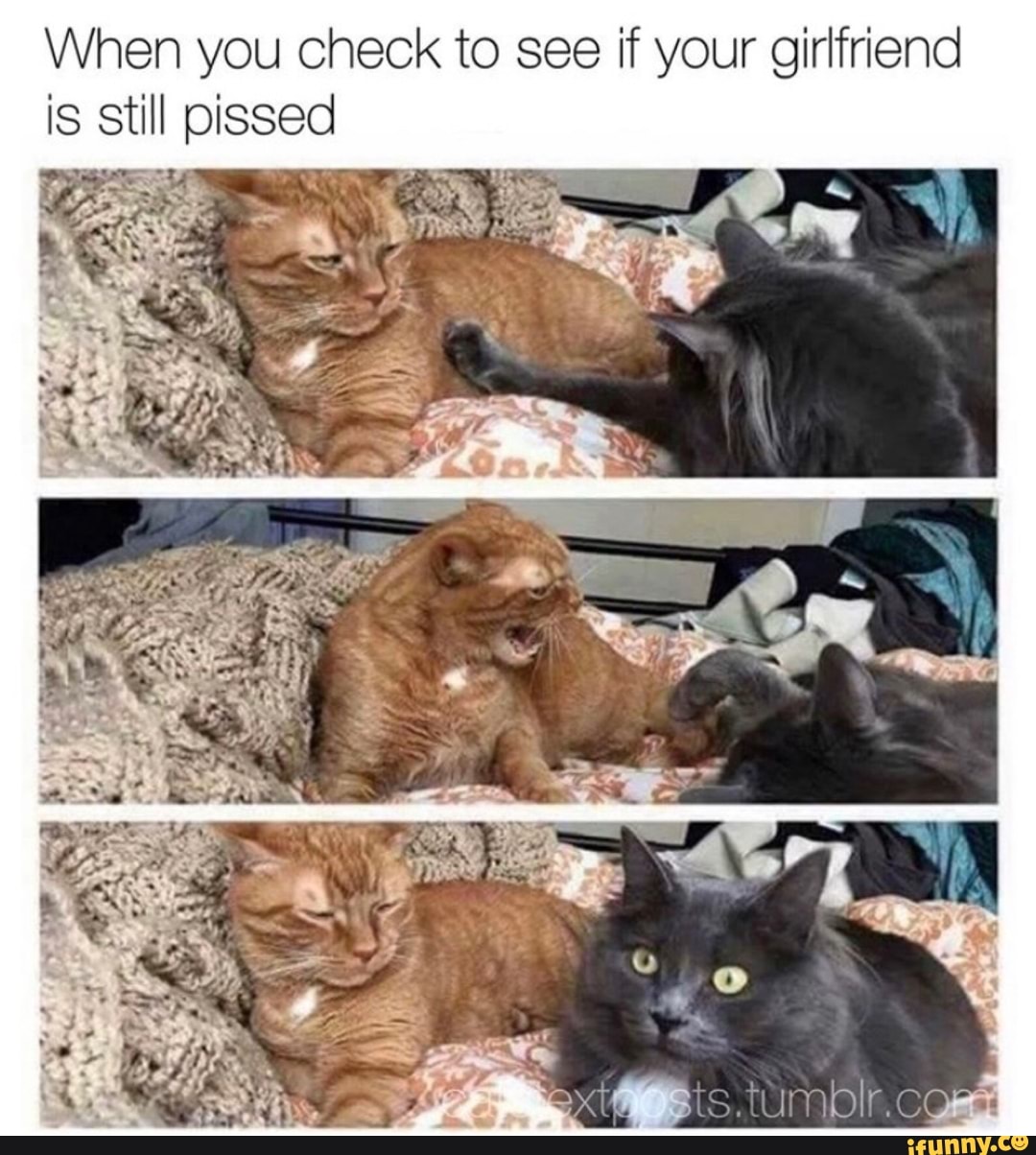 When you check to see if your girlfriend is still pissed
sts.tumbr.cors