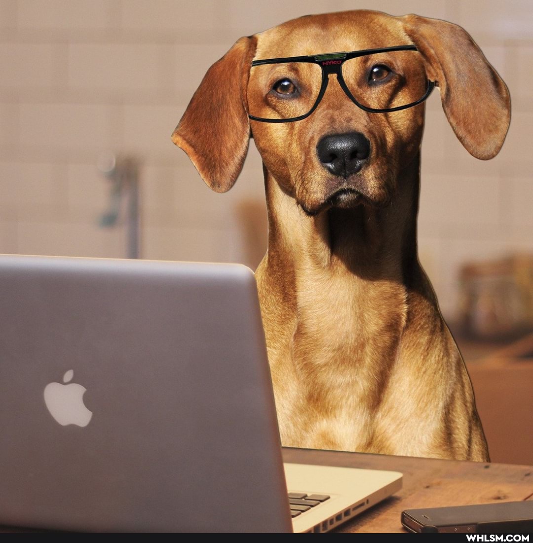 hope, having, ruff, workday
