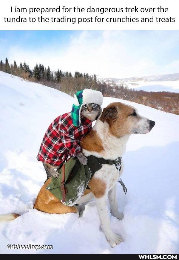 Liam prepared for the dangerous trek over the tundra to the trading post for crunchies and treats