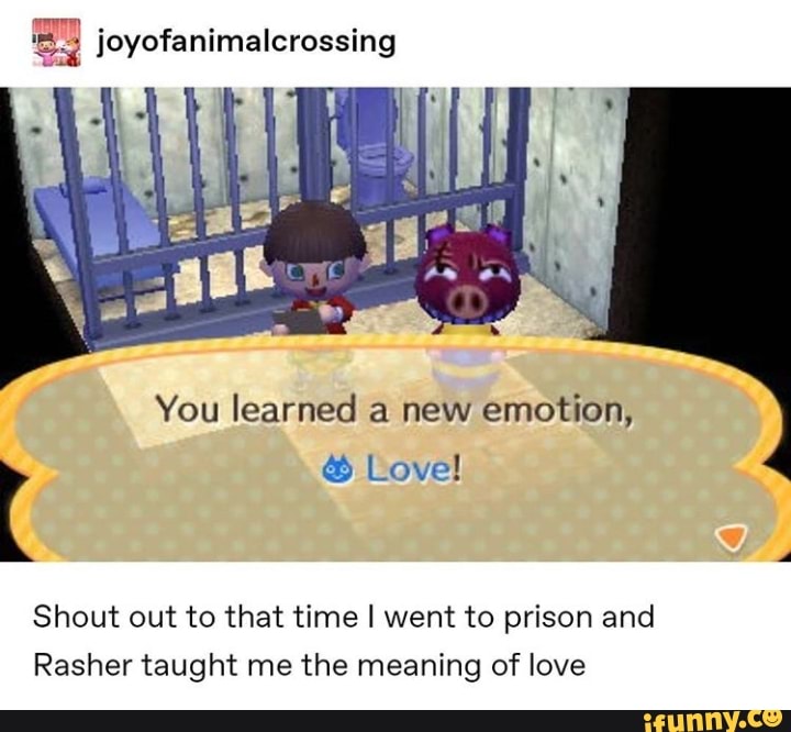 I Joyofanimalcrossing You Learned A New Emotion I Shout Out To That Time I Went To Prison And Rasher Taught Me The Meaning Of Love