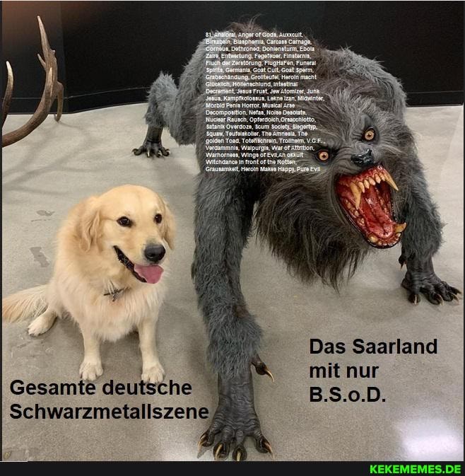 wapunga wirren.
Das Saarland
mit nur
Gesamte deutsche
de
Schwarzmetallszene;