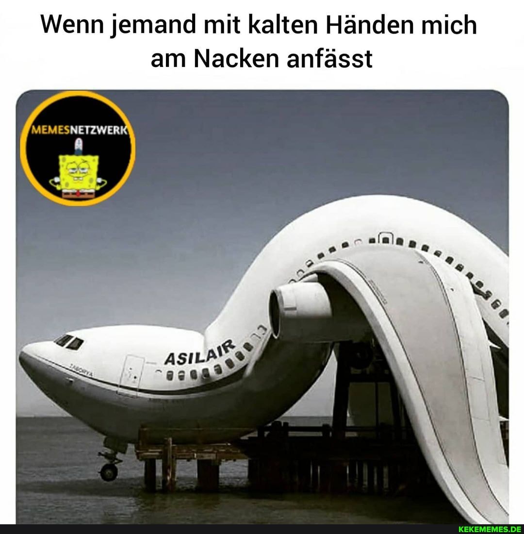 Wenn jemand mit kalten Händen mich
am Nacken anfässt
MEMESNETZWER