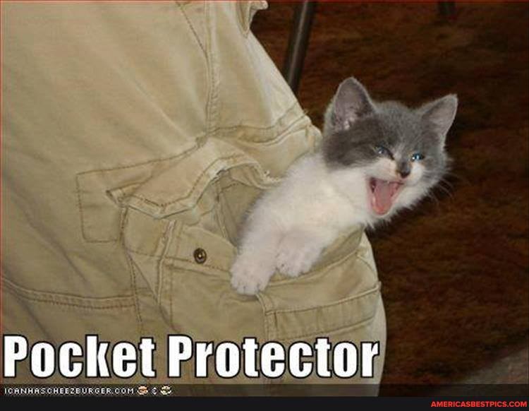 Pocket Protector
