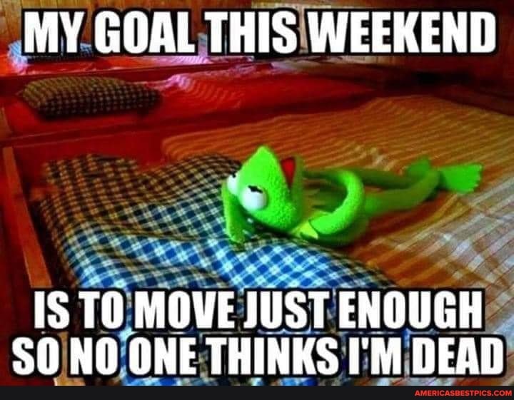 MY GOAL THIS WEEKEND
(SS TO MOVE JUST ENOUGH
$O NO ONE THINKS I'M DEAD