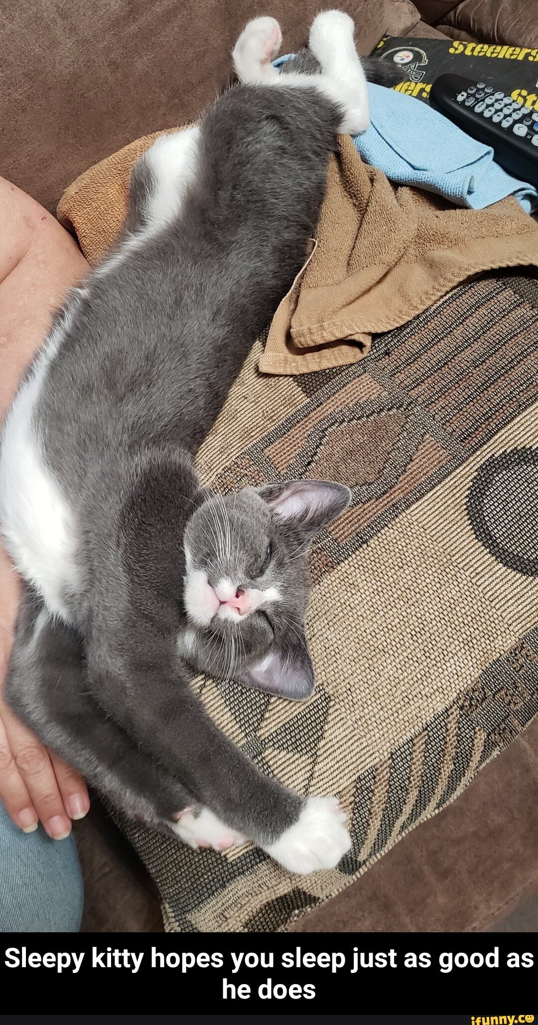 WEE
Sleepy kitty hopes you sleep just as good as he does - Sleepy kitty hopes you sleep just as good as he does