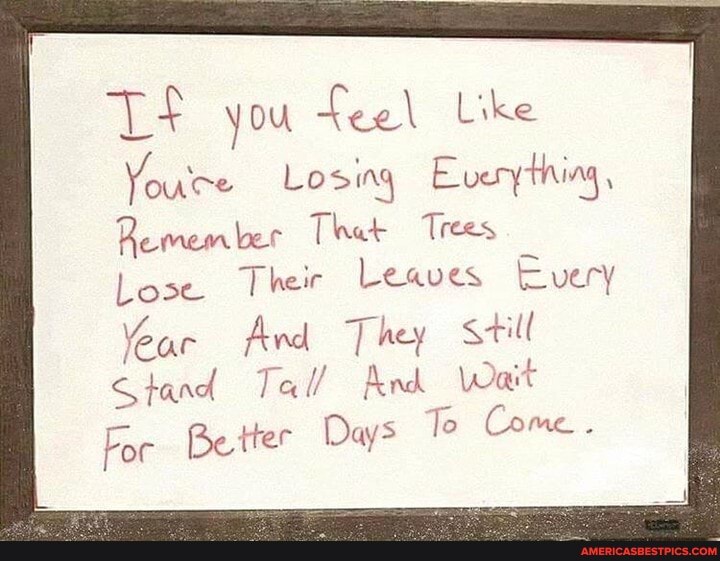 you feel Like
You're Losing Everything
Remember That Trees
Lose Their Leaves Every
Year And They Still
Stand Tal/ And Wait
For Better Days To Come.