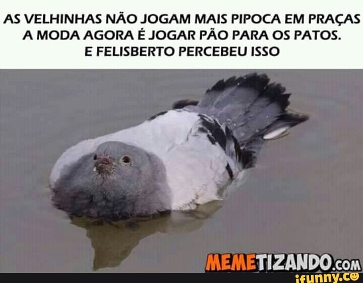 AS VELHINHAS NÃO JOGAM MAIS PIPOCA EM PRAÇAS
A MODA AGORA É JOGAR PÃO PARA OS PATOS.
E FELISBERTO PERCEBEU ISSO