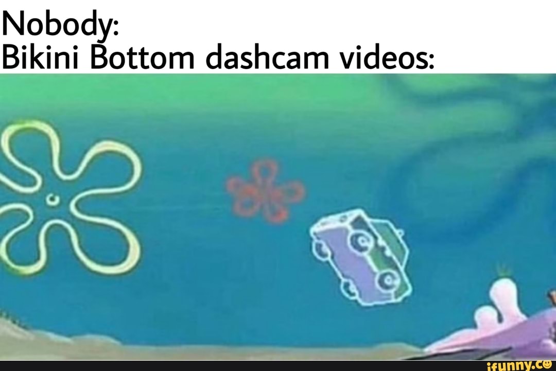 Nobody: Bikini Bottom dashcam videos.