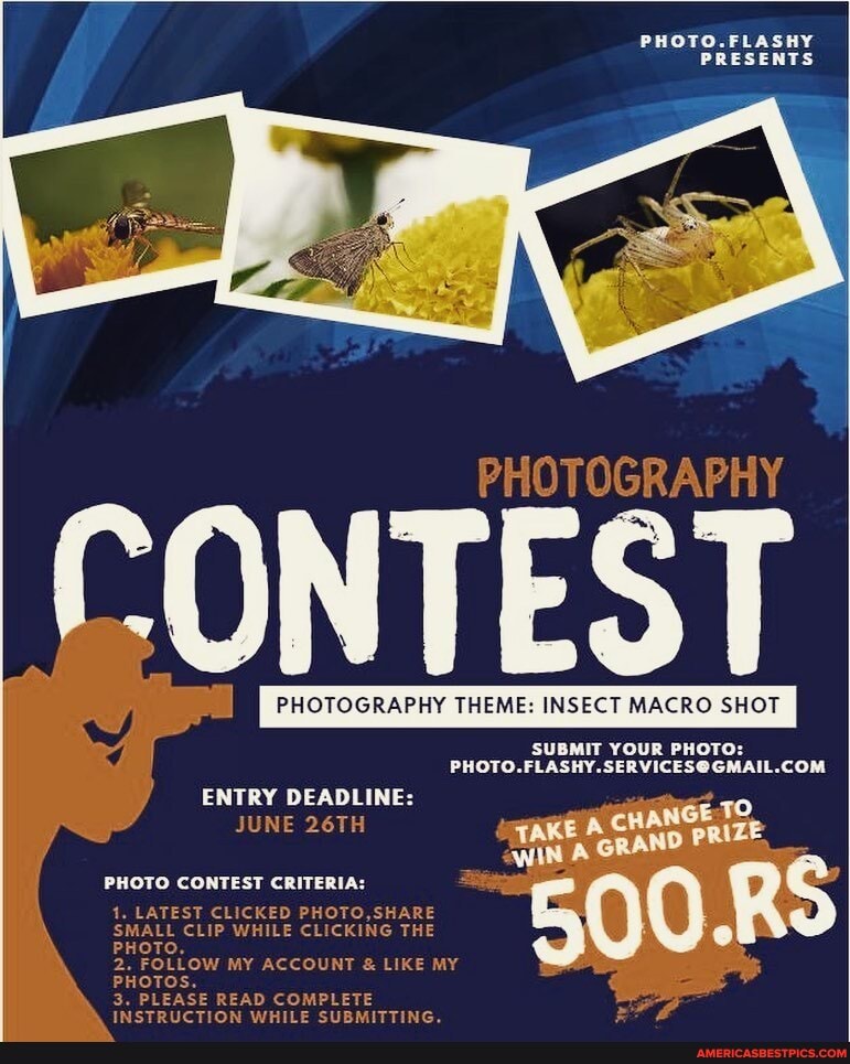 PHOTO.FLASHY PRESENTS
THEME: INSECT MACRO SHOT
SUBMIT YOUR PHOTO:
ENTRY DEADLINE:
JUNE 26TH
PHOTO CONTEST CRITERIA:
EST CLICKED PHOTO,SHARE CLIP WHILE CLICKING THE
OLLOW MY ACCOUNT & LIKE MY