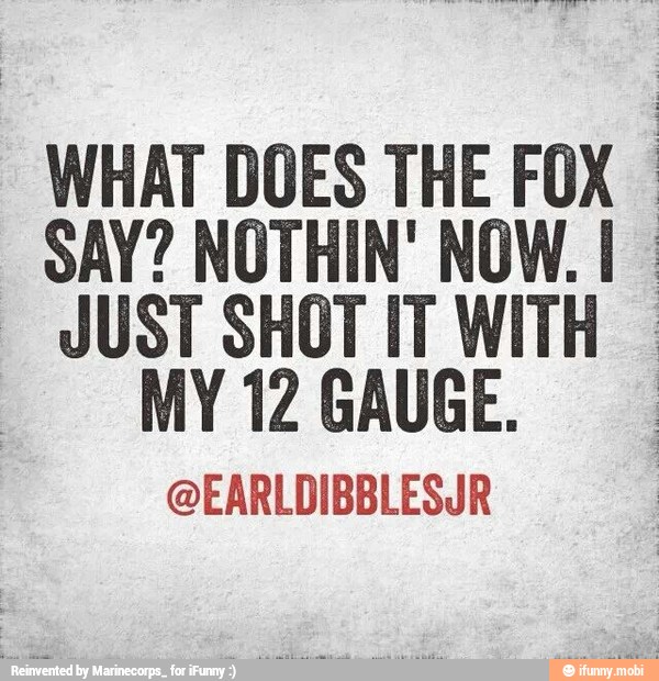 WHAT DOES THE FOX
SAY? NOTHIN' NOW. I
JUST SHOT IT WITH I