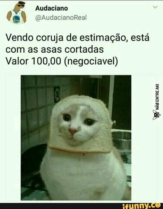 Vendo coruja de estimação, está
com as asas cortadas
Valor 100,00 (negociavel)