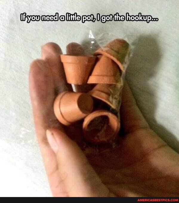 IEvou'nead'd litle pot. got the hookup