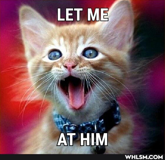 LET ME
AT HIM