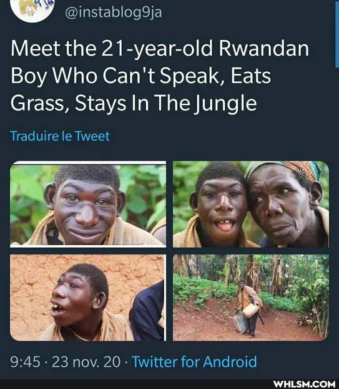 wy @instablog9ja
Meet the 21-year-old Rwandan
Boy Who Can't Speak, Eats
Grass, Stays In The Jungle
Traduire le Tweet
- 23 nov. 20 Twitter for Android