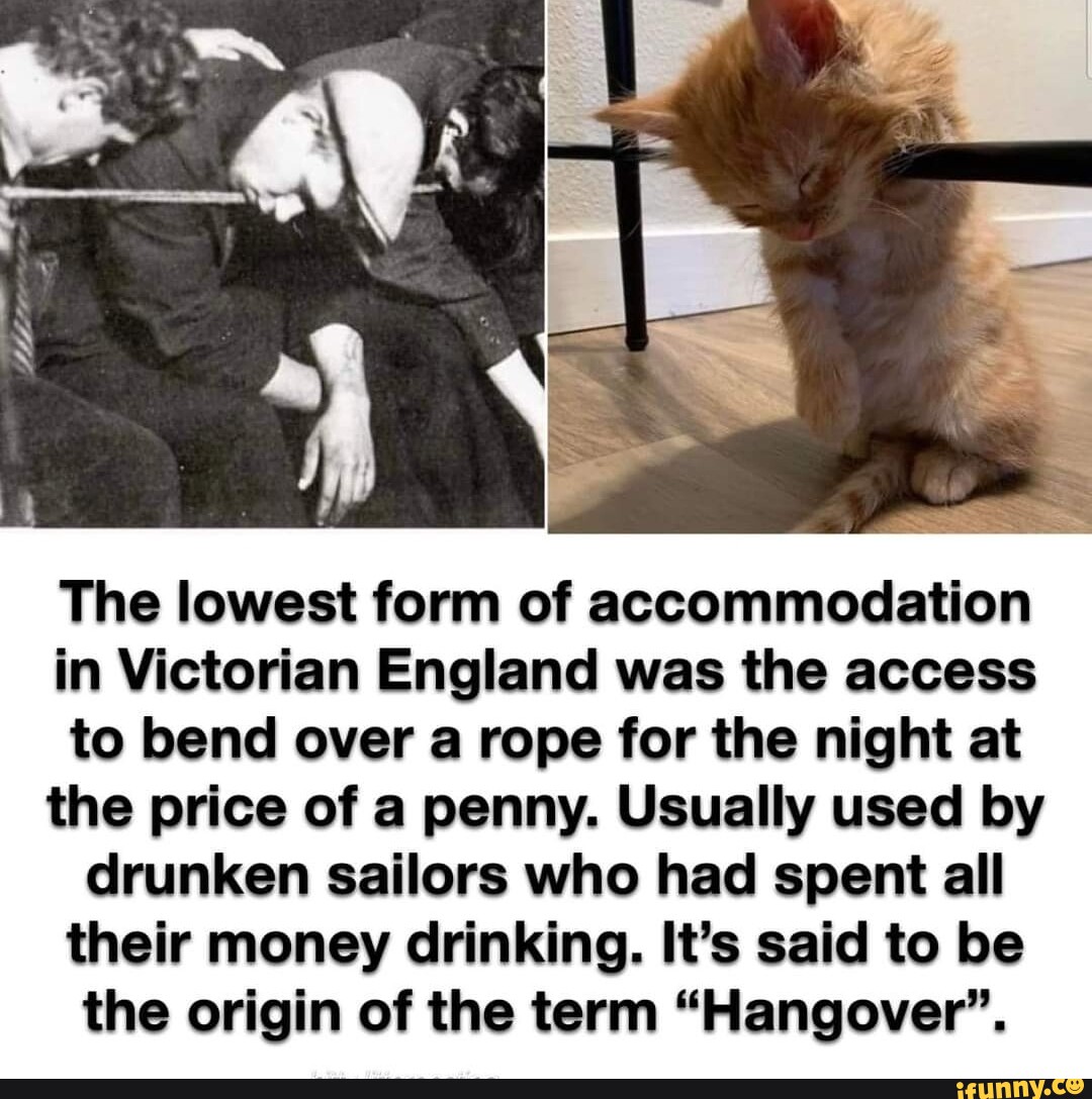 The lowest form of accommodation in Victorian England was the access to ...