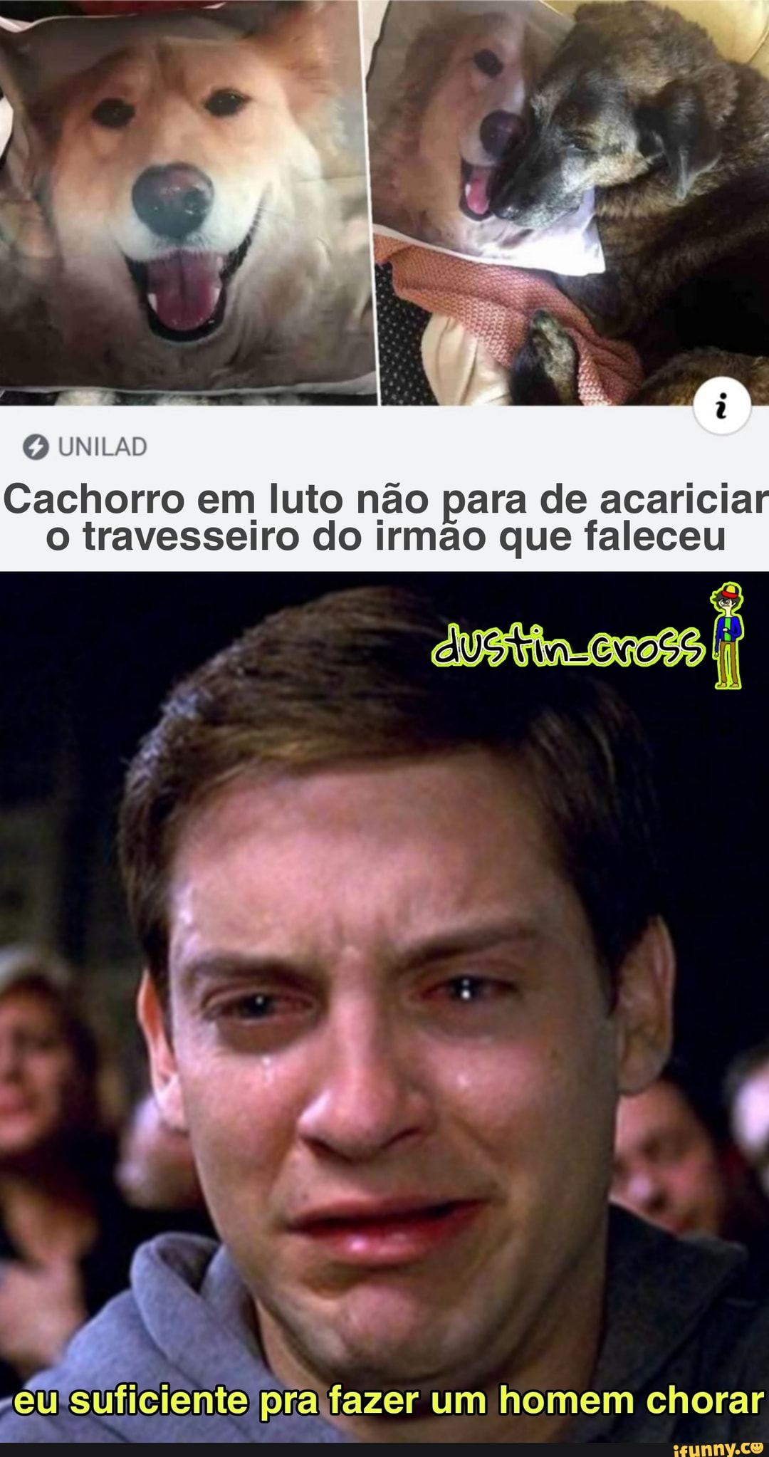 UNILAD
Cachorro em luto não para de acaricia o travesseiro do irmão que faleceu
suficiente pra fazer um homem chorar