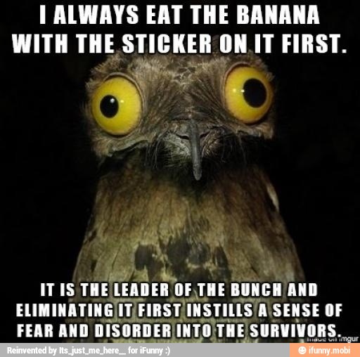 I ALWAYS EAT THE BANANA
WITH THE, Elio ra LEA