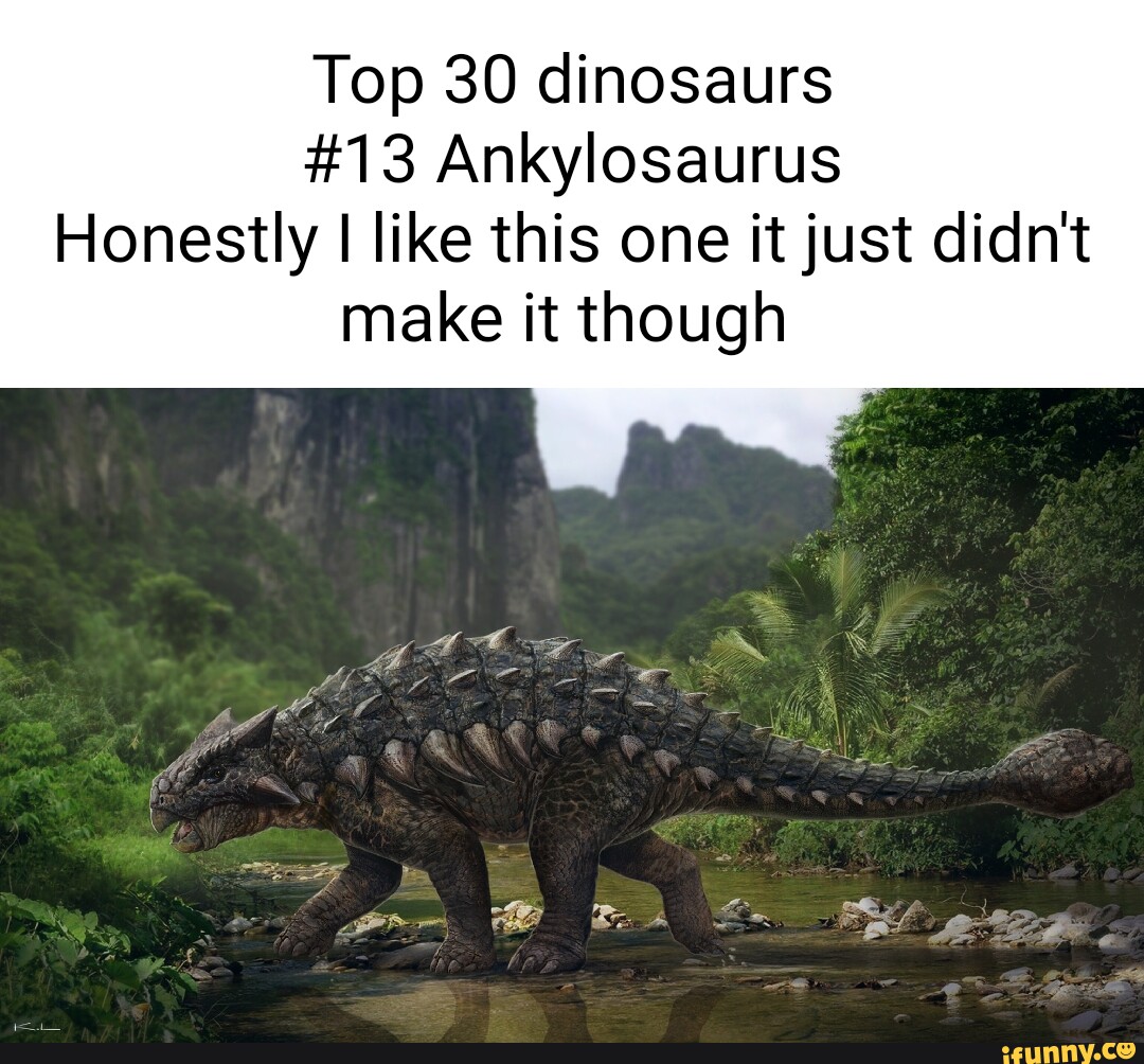 Ankylosaurus memes. Best Collection of funny Ankylosaurus pictures on ...