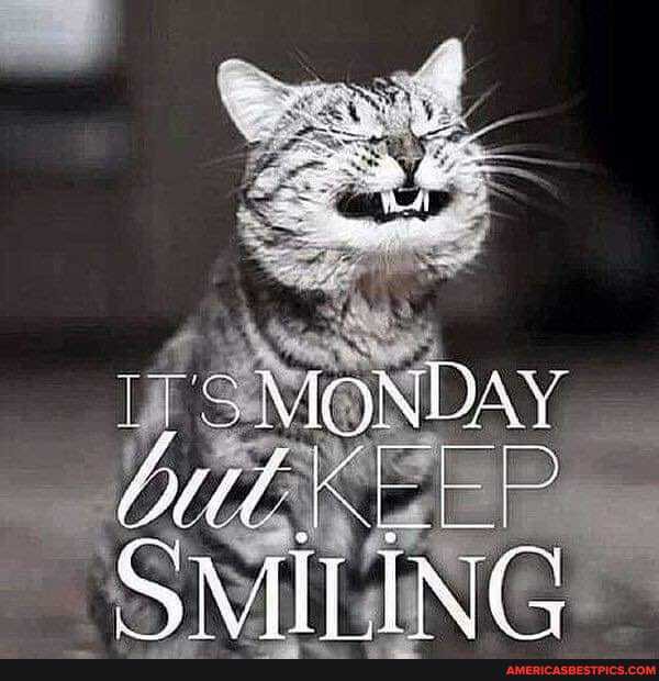 S MONDAY
I__I
AT ING