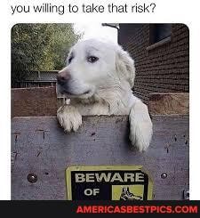 willing to take that risk?