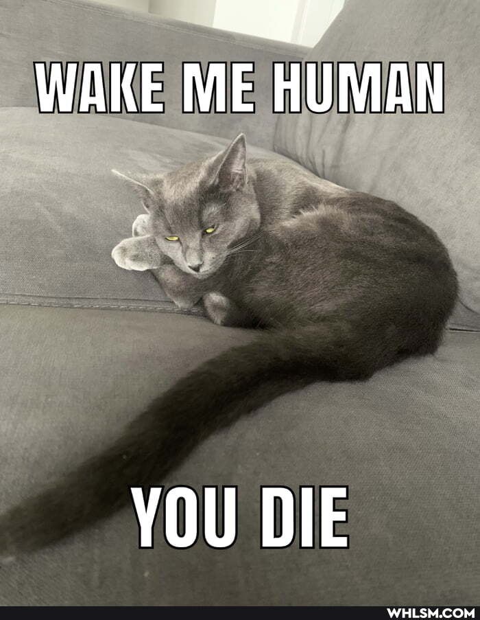 WAKE ME HUMAN
ad
YOU DIE