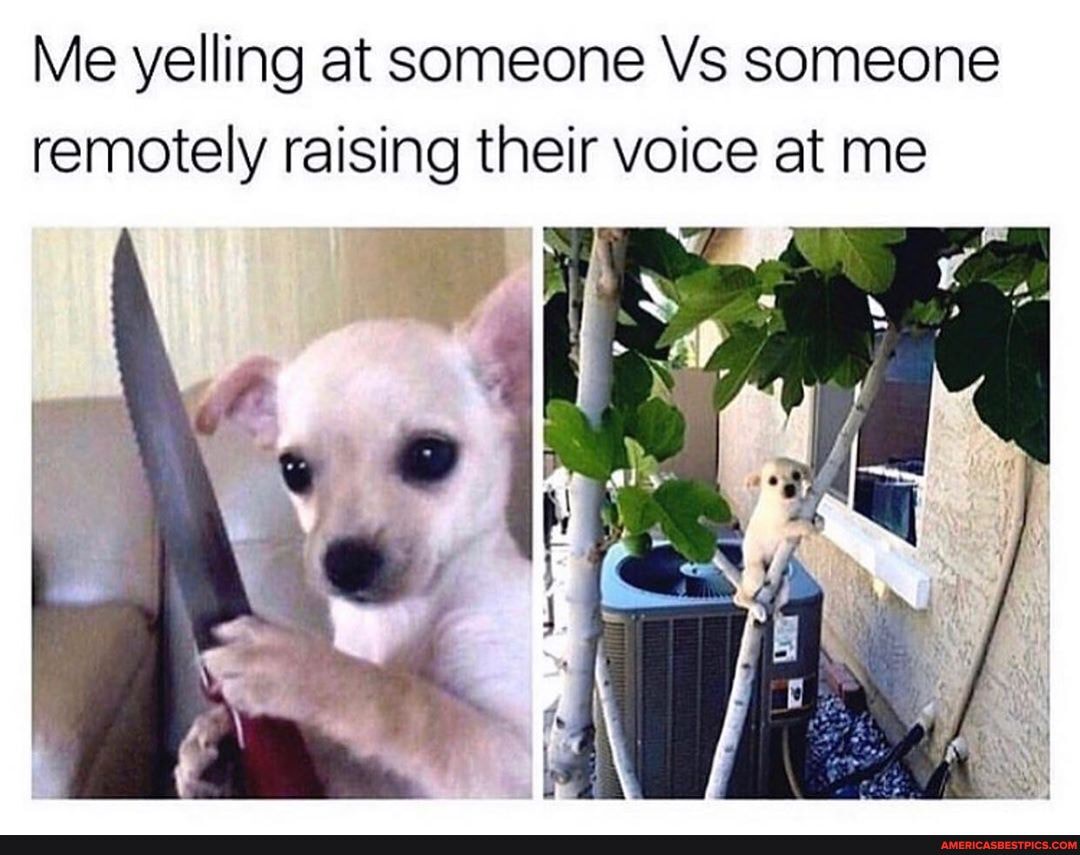 Me yelling at someone Vs someone remotely raising their voice at me