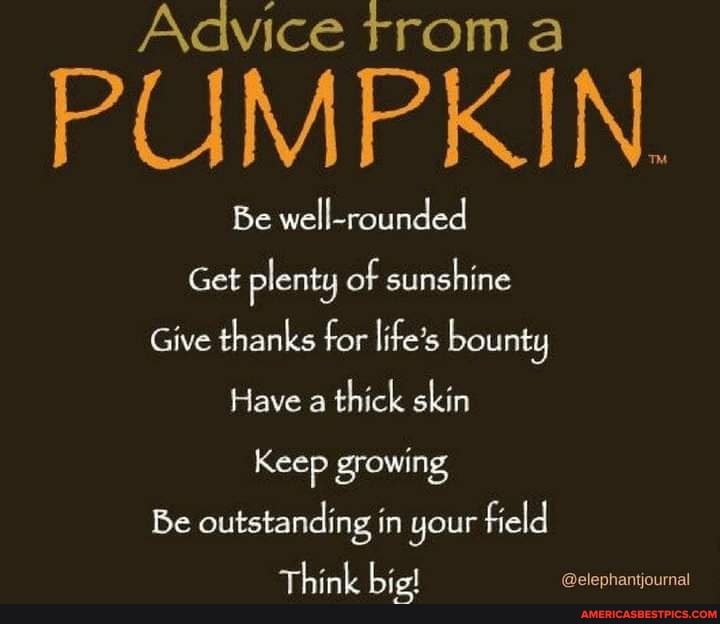 Advice trom
PUMPKIN.
Be well-rounded
Get plenty of sunshine
Give thanks for life's bounty
Have a thick skin
Keep growing
Be outstanding in your field
Think bie! @elephantournal