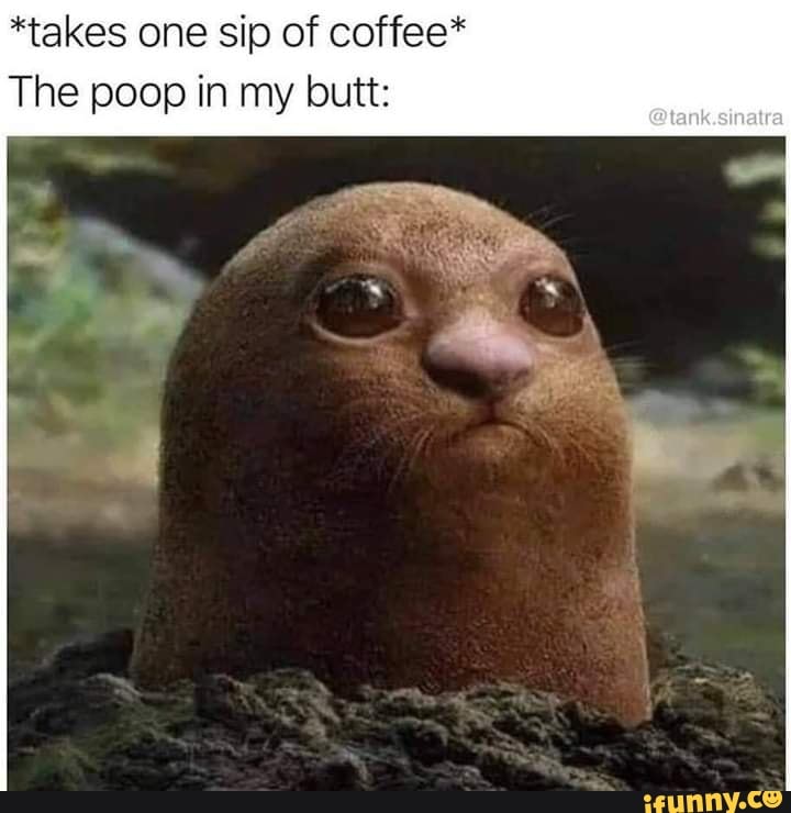 *takes one sip of coffee* The poop in my butt: - iFunny